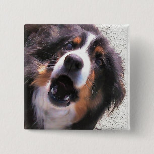 BADGE CARRÉ 5 CM COLLIE FRONTALIÈRE