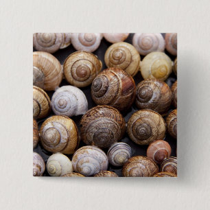 Badge Carré 5 Cm Coques des escargots