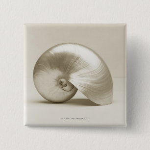 Badge Carré 5 Cm Coquillage de Nautilus de perle