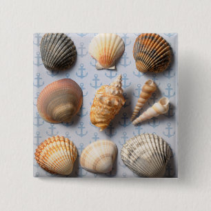 Badge Carré 5 Cm Coquillages sur le contexte d'Ancre