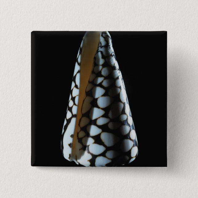Badge Carré 5 Cm Coquille 2 de cône (Devant)