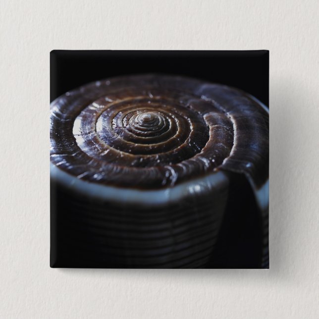 Badge Carré 5 Cm Coquille de cône (Devant)