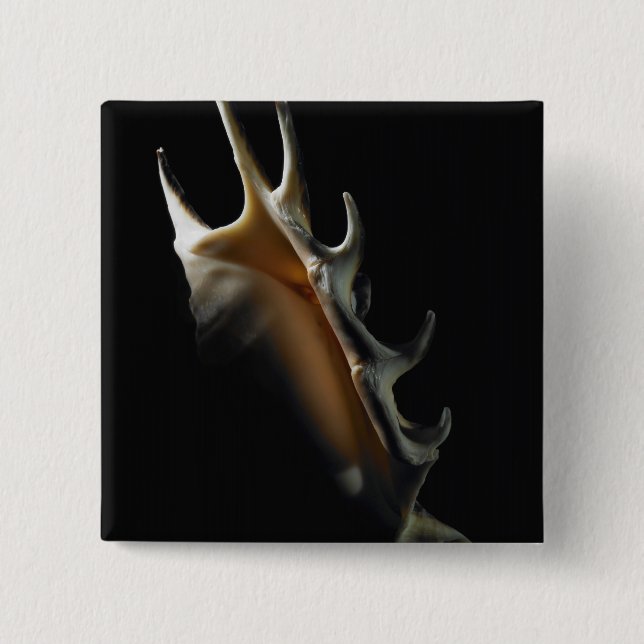 Badge Carré 5 Cm Coquille de conque (Devant)