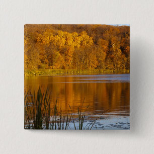 Badge Carré 5 Cm Couleurs d'automne dans le parc d'état de Maplewo