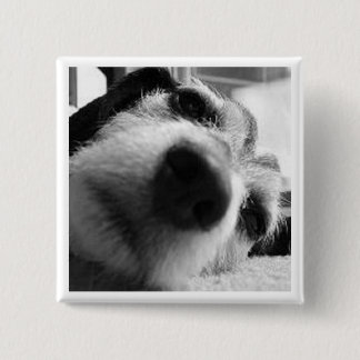 Badge Carré 5 Cm Couverture rétrospective