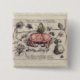 Badge Carré 5 Cm Crab Botanical Insect Flower Illustration