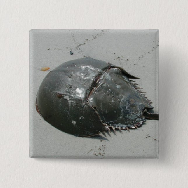 Badge Carré 5 Cm Crabe en fer à cheval (Devant)
