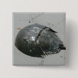 Badge Carré 5 Cm Crabe en fer à cheval