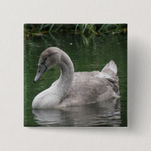 Badge Carré 5 Cm Cygne gracieux sur le bouton de l'eau