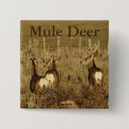 Badge Carré 5 Cm D30 Mule Deer Bucks