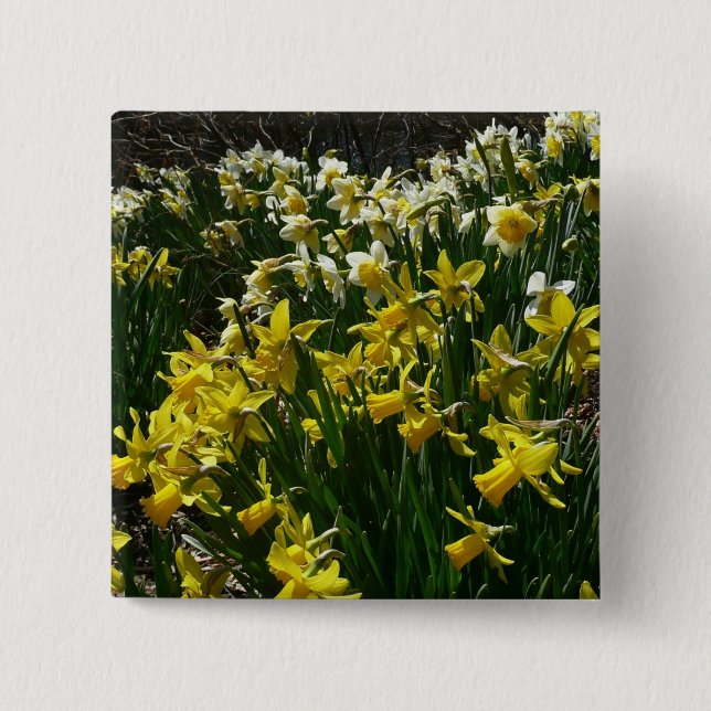 Badge Carré 5 Cm Daffodiles jaunes et blancs Fleurs de printemps (Devant)