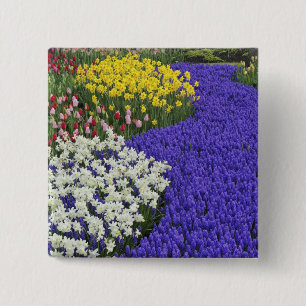 Badge Carré 5 Cm Daffodils et raisin Hyacinth, Keukenhof 2