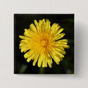 Badge Carré 5 Cm Dandelion