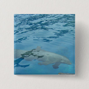 Badge Carré 5 Cm Dauphin glissant sous l'eau bleue