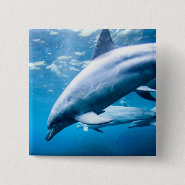 Badge Carré 5 Cm Dauphins sous-marins (Devant)