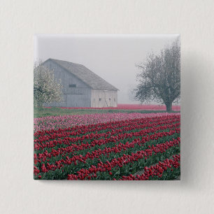 Badge Carré 5 Cm Des tulipes rouges et roses accueillent la journé