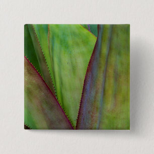 Badge Carré 5 Cm Détail du Plante Agave