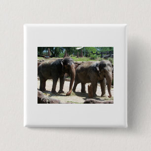 Badge Carré 5 Cm Deux éléphants