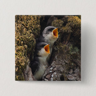 Badge Carré 5 Cm Deux hirondelles d'arbre de bébé