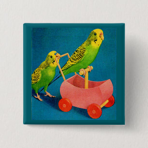 Badge Carré 5 Cm deux perroquets