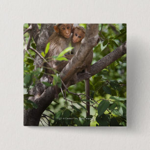 Badge Carré 5 Cm Deux singes dans un arbre