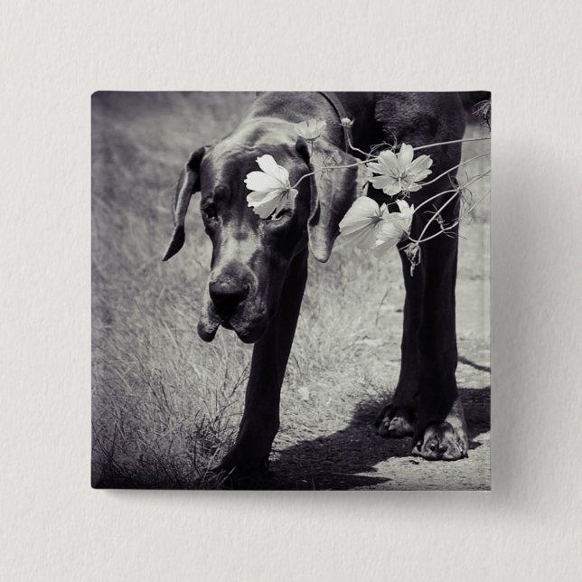 Badge Carré 5 Cm Doge Balu (Devant)