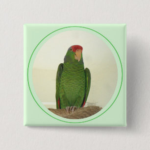 Badge Carré 5 Cm Dooley 1