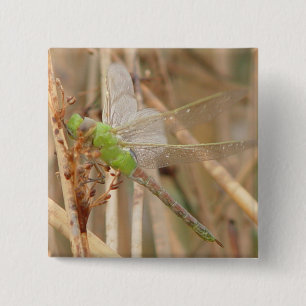 Badge Carré 5 Cm Dragonfly vert I1