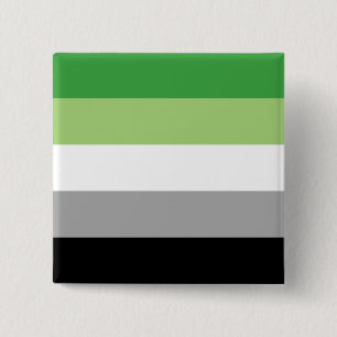 Badge Carré 5 Cm Drapeau de fierté aromantique LGBTQ