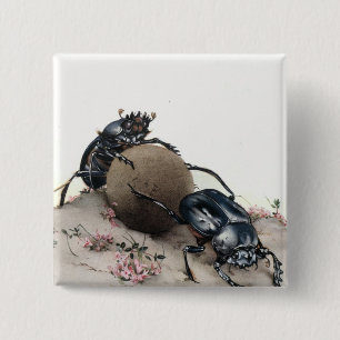 Badge Carré 5 Cm Dung Bettle