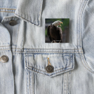Badge Carré 5 Cm Eagle chauve appelle