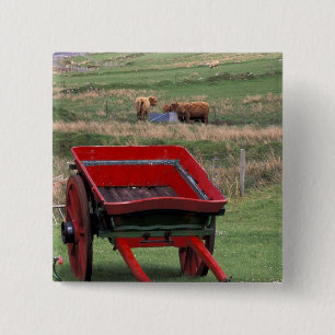 Badge Carré 5 Cm Ecosse, île de Skye, Kilmuir. Animaux de ferme