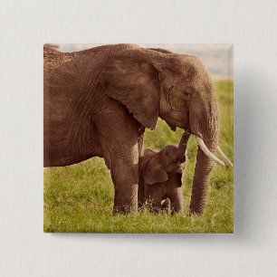 Badge Carré 5 Cm Éléphant et bébé des images   de Getty