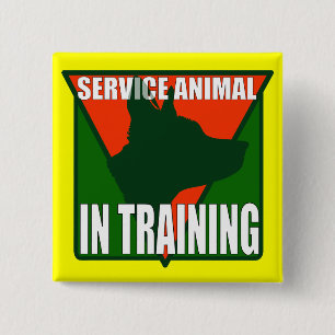 BADGE CARRÉ 5 CM ENTRETENEZ LA FORMATION ANIMALE