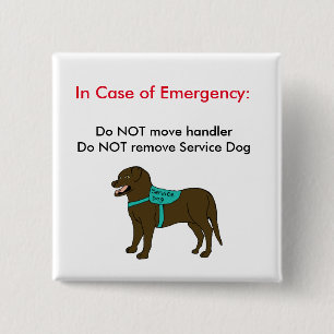 Badge Carré 5 Cm Entretenez le bouton 2 de GLACE de chien