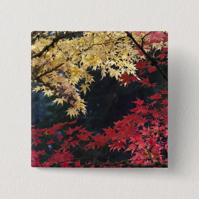 Badge Carré 5 Cm Érables en couleur d'automne (Devant)