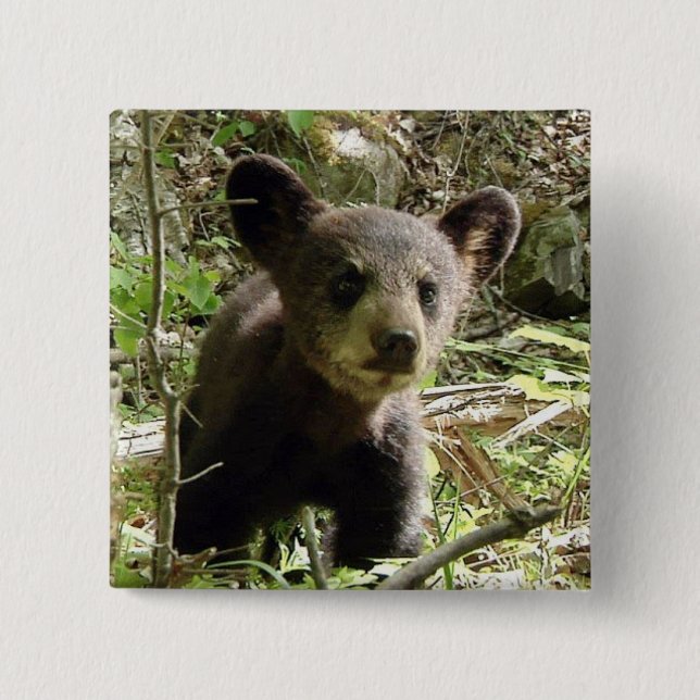 Badge Carré 5 Cm Espérez le bouton d'ours (Devant)