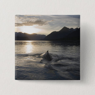 Badge Carré 5 Cm États-Unis, Alaska, Glacier Bay National Park,