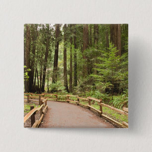 Badge Carré 5 Cm États-Unis, Californie, comté de Marin, Muir Woods