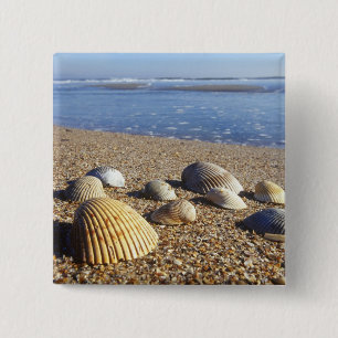 Badge Carré 5 Cm États-Unis, Floride, coquillages côtiers