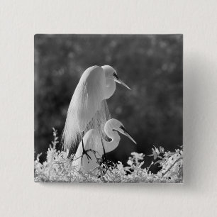 Badge Carré 5 Cm États-Unis, Floride, Great Egret (Ardea alba) infr