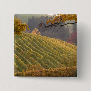 Badge Carré 5 Cm États-Unis, Oregon, Newberg. Vignoble en automne.