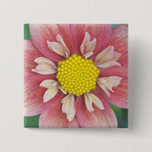 Badge Carré 5 Cm États-Unis, Washington, Bellevue, Bellevue Botanic