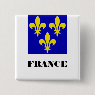 Badge Carré 5 Cm Étendard Royal Français Médiéval Fidélité Héraldiq