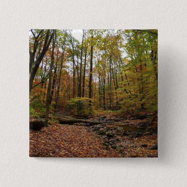 Badge Carré 5 Cm Fall Creek dans le parc national Laurel Hill State (Devant)