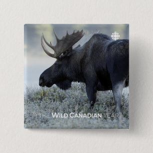 Badge Carré 5 Cm Fall - Moose