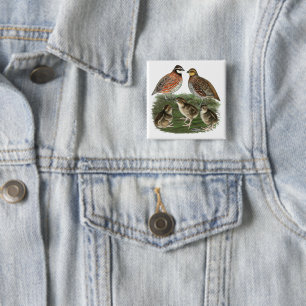 Badge Carré 5 Cm Famille Bobwhite Quail