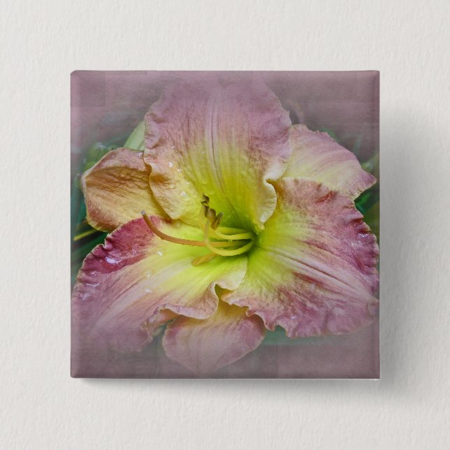 Badge Carré 5 Cm Fancy rose Daylily Blossom (Devant)