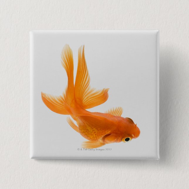 Badge Carré 5 Cm Fantail (Carassius auratus) 2 (Devant)