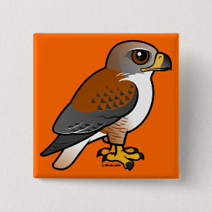 Badge Carré 5 Cm Faucon ferrugineux